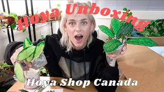 ANOTHER Uncommon Hoya Unboxing | Hoya Shop Canada