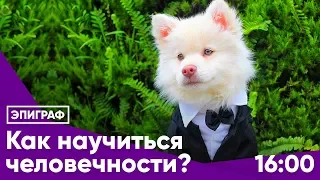 Как научиться человечности?