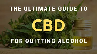 How To Use CBD For Alcohol Withdrawal