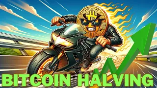 Bitcoin Halving Reversal?