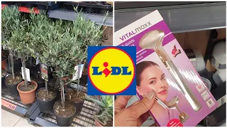 ARRIVAGE LIDL - 2 JUILLET 2022