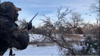 Shooting ducks with a vintage .410 and how to hand load 2.5" shells