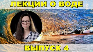 Лекции о воде, выпуск 4: «Как правильно хранить воду: бутылки для питья, ёмкости для воды».