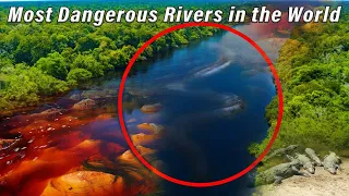 Top 10 Most Dangerous Rivers in the World 2023 - Infoverse
