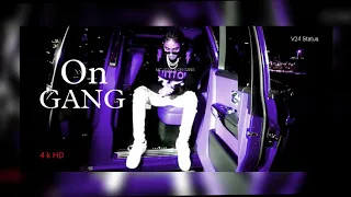 ON GANG X MC STAN | Trending Video |  4k HD