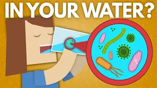 How clean is YOUR drinking water?