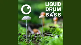 Liquid Drum & Bass Sessions 2020 Vol 36