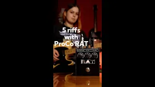 5 Riffs With ProCo RAT Distortion Pedal