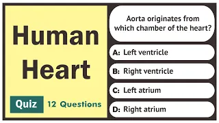 Human Heart - Quiz | 12 Questions | General Science Quiz