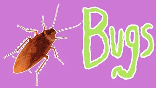 Bad Bugs - Insect Pests for Kids