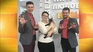 Выпуск программы «Новый день» за 30 января 2019