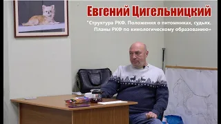 Структура РКФ. Положения о питомниках. Кинологическое образование