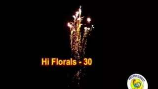 Hi florals 30