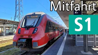 S-Bahn Rostock | Mitfahrt im Talent 2 (BR442) auf der S1 Rostock Hbf - Warnemünde (komplett)