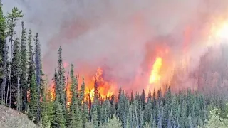 Several out of control wildfires continue to burn in Quebec