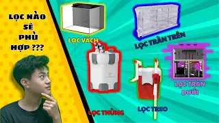 Những hệ thống lọc phổ biến cho bể cá cảnh hoặc bể thuỷ sinh