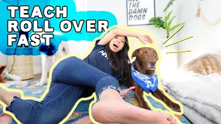 Teach ANY Dog to Roll Over 👉 3 EASY Steps!