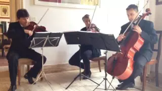 Florence Art Ensemble String Trio Happy