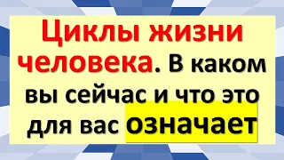 Циклы жизни человека. В каком вы сейчас и что это для вас означает