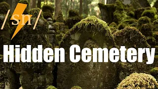 THE HIDDEN CEMETERY