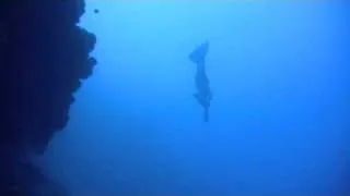 Freediving "The Arch" Mike Wells.m4v