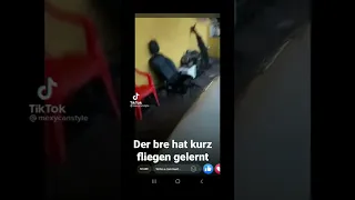 Der Bre hat kurz fliegen gelernt 😂😂