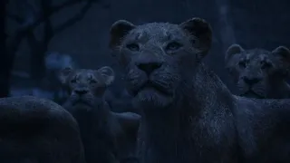 Lion King 2019 - Circle of life [Reprise] (Romanian) Subs & Trans