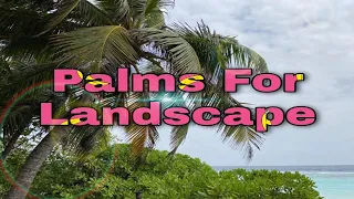 Trending Palms For Landscaping | Best Palm Tree For Landscape At Any Climatic Conditions