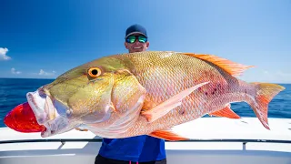 FATAL Truth about Deep Sea Fishing...Catch Clean Cook (Snapper)
