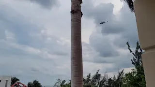 Tourists Shelter Following Gang Shootout Near Cancun Resort