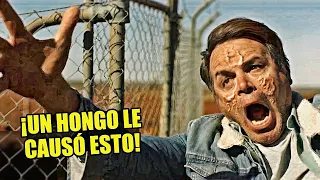 💥 LA HUMANIDAD ES ZOMBIFICADA por un HONGO | Resumen de peliculas |  the dustwalker