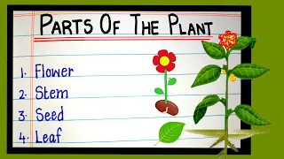 Parts Of The Plant Name| Plant parts name | Flower Stem fruit root leaf bud node internode