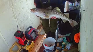 Pêche Saguenay