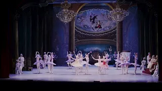 "Sleeping Beauty" (full ballet) Elizaveta Barkalova & Roman Belgorodskiy