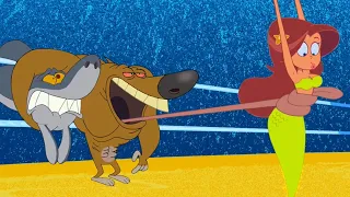 ZIG AND SHARKO | MONSTER ZIG (SEASON 1) New episodes | Cartoon for kids