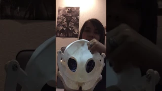 Wolf skull mask review type thing