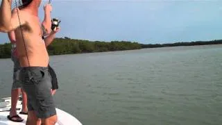 Chad Richards pulling in bull shark - Marco Island - fishing with Todd