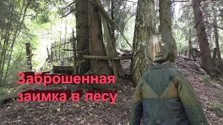 Заброшенная заимка в лесу. Здесь жил отшельник? Бортническая пасека в лесу. С. Ивановское. Заброшено