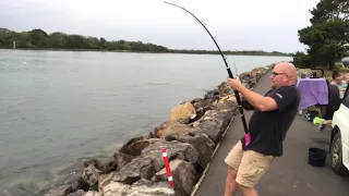 3m Bull Shark caught in North Coast River (NSW)