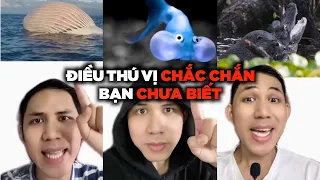 TẤT CẢ Những Điều Thú Vị Có Thể Bạn Chưa Biết (Phần 1-100)