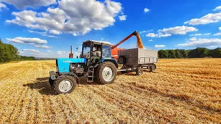Harvesting 2020 / harvesting 2020 / MTZ 82.1 / 2 MTZ 892 / Kamaz / John Deere 6110 B / Case 2388