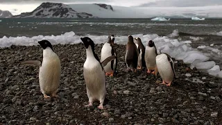 Studie: Eisschmelze in der Antarktis noch nicht unumkehrbar - aber keine Entwarnung