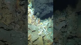 New Discovery of Hydrothermal Vents