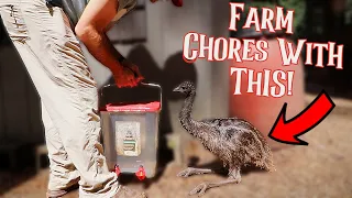 Farm Chores Are NOT Boring With An EMU!! [Raising An Emu]