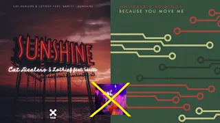 Because You Move Me x Sunshine (Tinlicker & Helsloot vs. Cat Dealers)