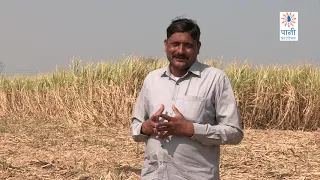 Poor Water Management Leads To Drought | Paani Foundation Patoda Case Study | Eng. Subtitles