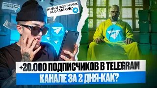 +20.000 ПОДПИСЧИКОВ В TELEGRAM - КАК? ПРОДВИЖЕНИЕ ТЕЛЕГРАМ КАНАЛА БЕЗ НАКРУТКИ 2024