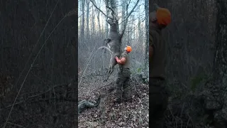 Hanging a BIG WOODS Buck Overnight! 🦌