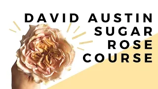 Sugar David Austin Rose Course! // Full Preview // With Finespun Cakes