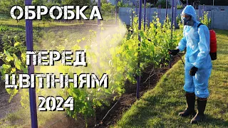 Обробка винограду перед цвітінням 2024